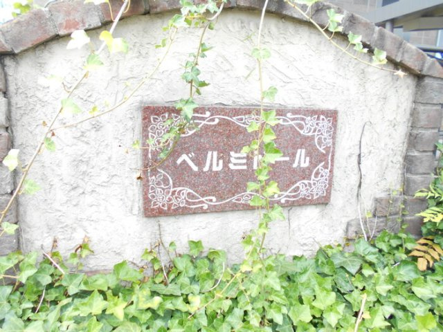 ベルミドールのその他
