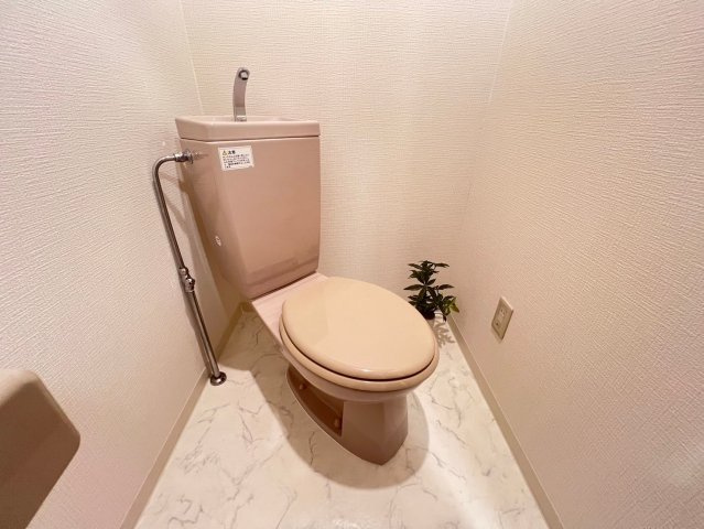 ドエル心斎橋のトイレ