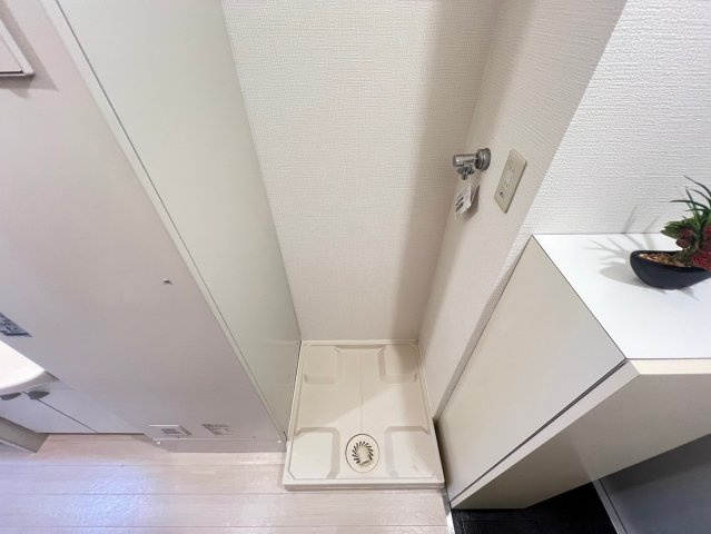 ドエル心斎橋の洗面所