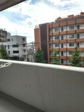 チェスナットヒルズの展望