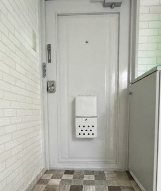 大阪市阿倍野区美章園１丁目の賃貸マンションの玄関
