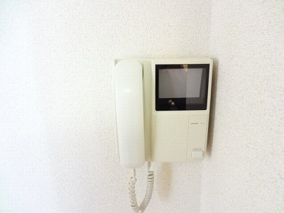 チェリーブロッサムのその他