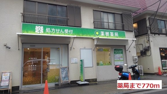 ラシーヌ　菊名　Ⅱ　Ｓの周辺|薬局まで770m