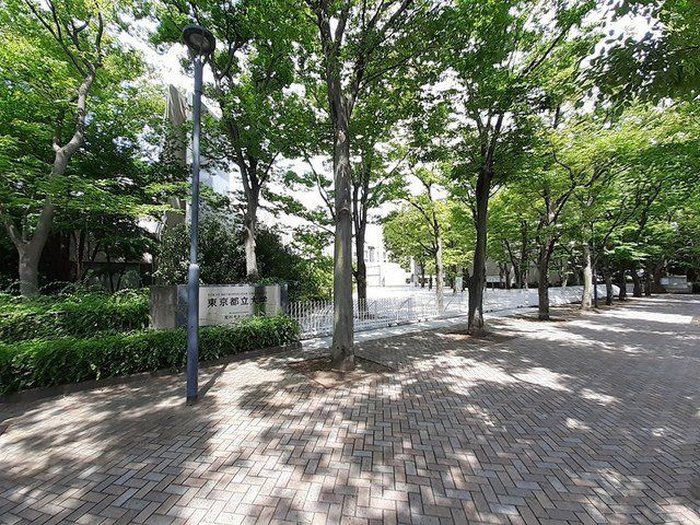 グレイン　町屋の周辺|東京都立大学まで700m