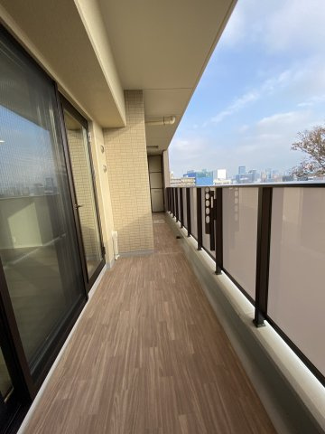参考写真
