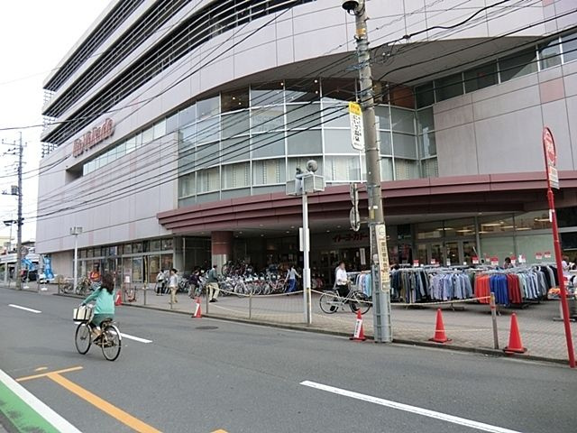サンフラワーのその他