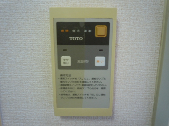 アルビオンのその他