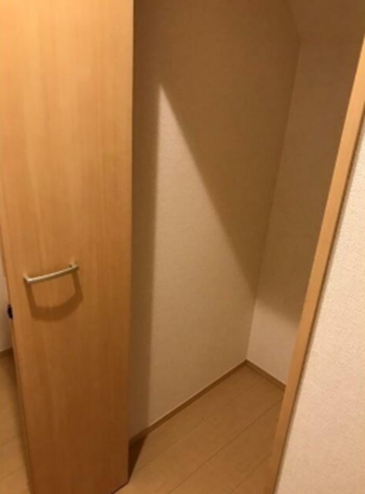 ラ　メゾネット　ヴェルトゥの収納|収納