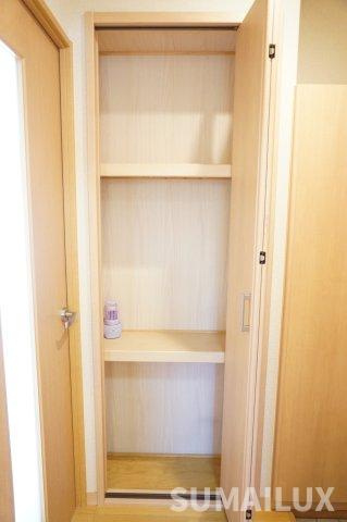 菊池郡菊陽町光の森１丁目の賃貸マンションの収納