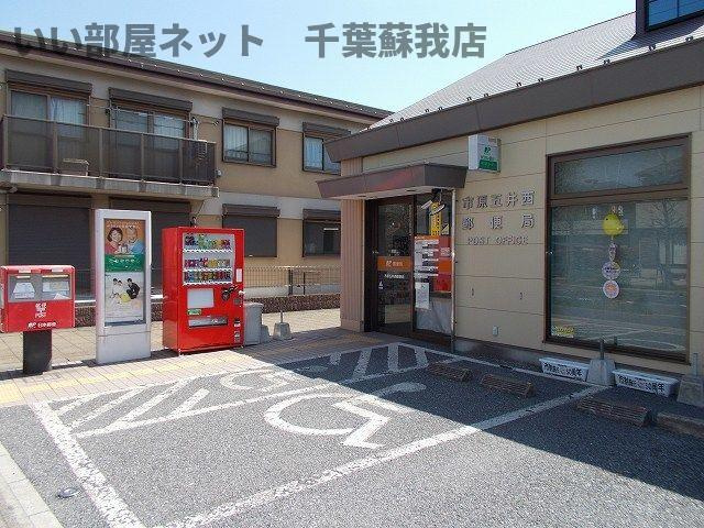 ラ・カーサ・ベルデのその他