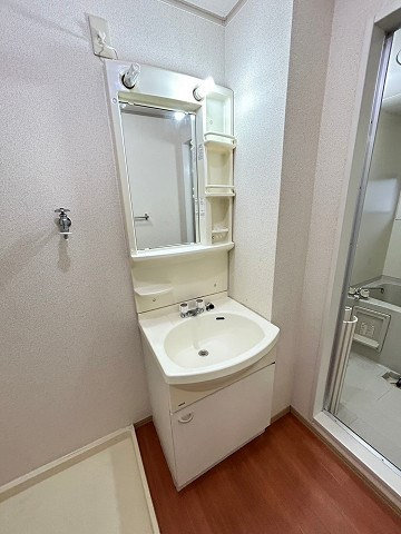 ネクステージ御園の洗面所
