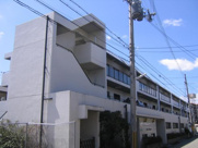 ドエル野里の画像