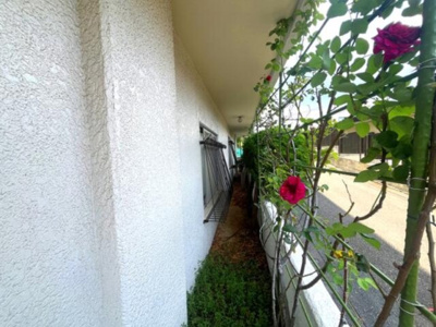 【庭】 | ストークライフ甲陽園