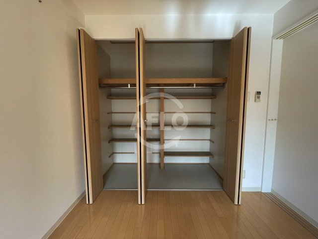 レシェンテ西梅田の収納|レシェンテ西梅田　クローゼット