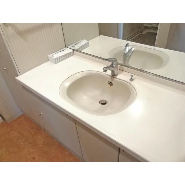 サンクタス大島の洗面所