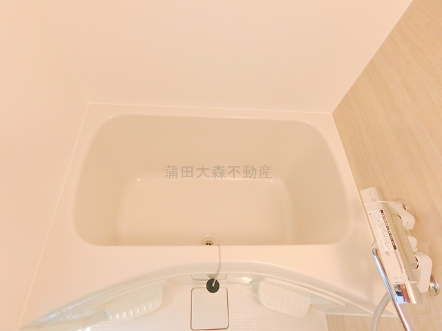 address HONHANEDA(アドレスホンハネダの浴室