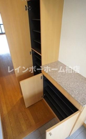 【仲介手数料：50％OFF】対象物件！の内装|明るい色調の室内です