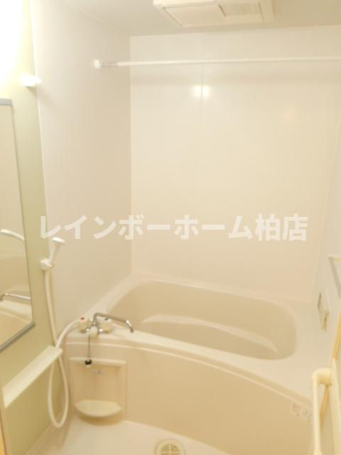 【仲介手数料：50％OFF】対象物件！の浴室|落ち着いた空間のお風呂です