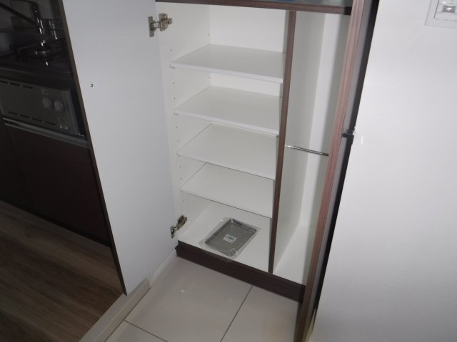 ＳＨＯＫＥＮ　Ｒｅｓｉｄｅｎｃｅ新丸子の収納|他のお部屋の参考写真となります。