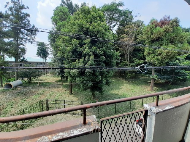 シティパレス清水町Ⅱの展望