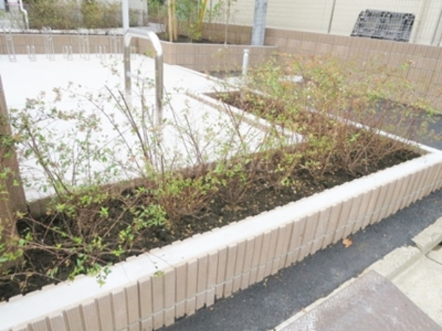 セレーノのその他|植栽です。