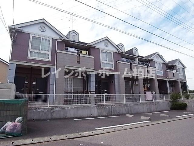 【仲介手数料：50％OFF】対象物件！の外観|外観もきれいです