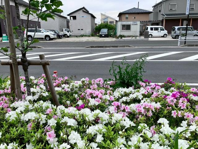 の売地の周辺