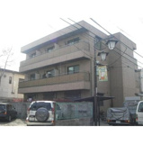 Ｖｉｌｌａ　Ｃａｍｅｌｌｉａ　の画像