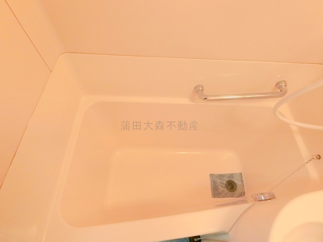 ベルサイユ池上のキッチン