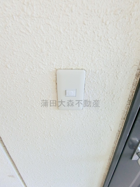 ベルサイユ池上の玄関