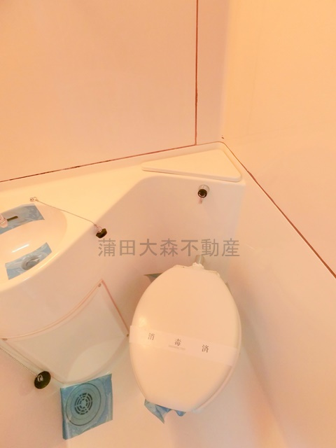 ベルサイユ池上のトイレ
