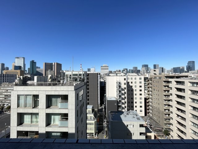 ウィルローズ築地の展望