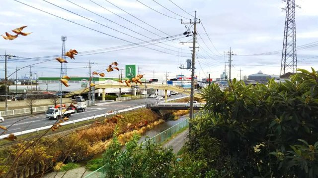 レオパレス春のその他