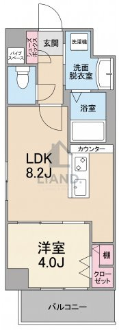 グランドアセント　博多小学校区の間取り|グランドアセント