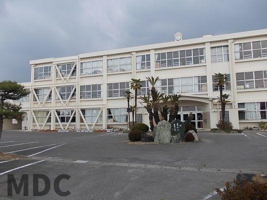 向日葵　Ⅱのその他