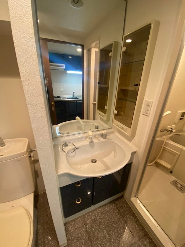 リーガル南船場の洗面所