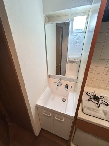 エステムコート大阪城南Ⅱの洗面所