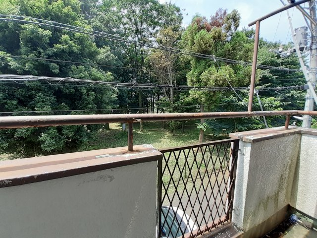 シティパレス清水町Ⅱの展望