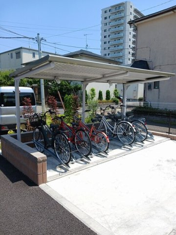 ヴァイオレットのその他
