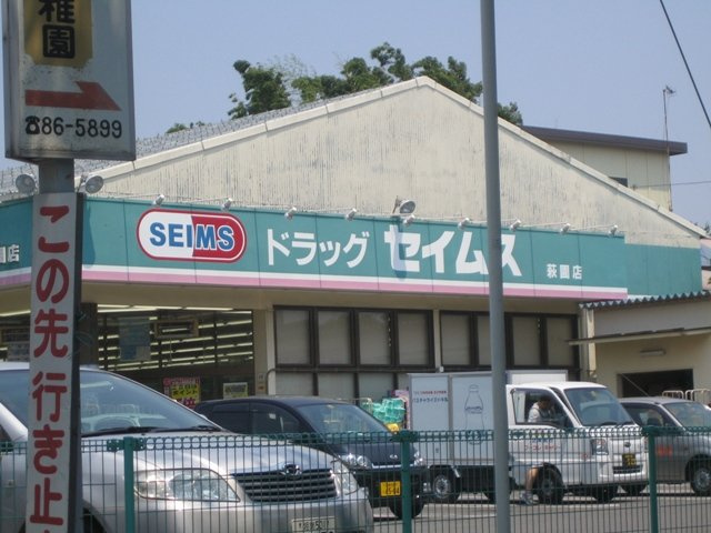 ラベンダー湘南の周辺|セイムスまで650ｍ