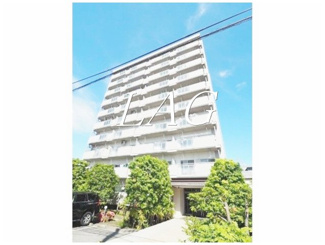 【外観】 | チェスターハウス川口 | 外観です。