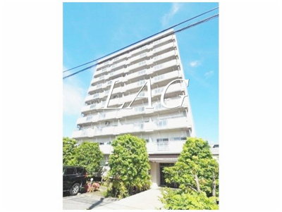 【外観】 | チェスターハウス川口 | 外観です。
