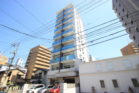 Ｓｈｅｔｌａｎｄ　Yｏｋｏｇａｗａの画像