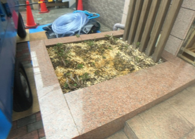 【庭】 | ドラゴンマンション小田急相模原壱番館 | 物件によっては、入居者が個人的に使用できる専用庭がついているものもあります。また、住宅の中にある土間の部分を庭と呼ぶこともあります。庭の用途は住む人によって変わり、それによってデザインもさまざまです。