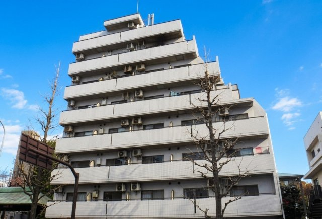 パール白山