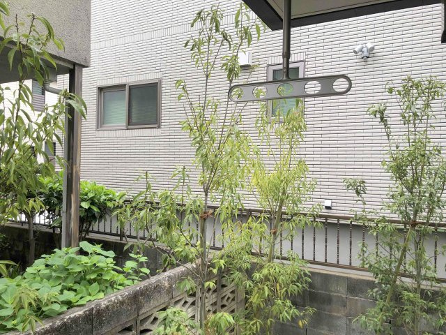 Ｐｏｒｔａ　ｆｏｒｔｕｎａ二子玉川の展望