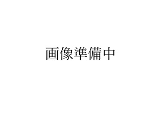 【間取り】 | 世田谷１丁目　リフォーム済中古戸建