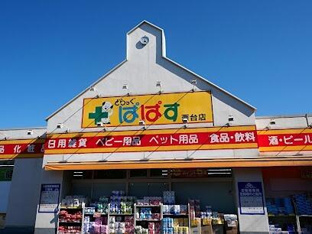 どらっぐぱぱす　西台店まで207m