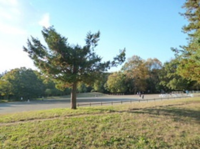 フォレスト光が丘のその他|光が丘公園