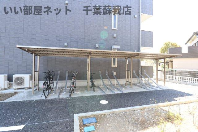 AALII（アアリイ）Ⅲのその他